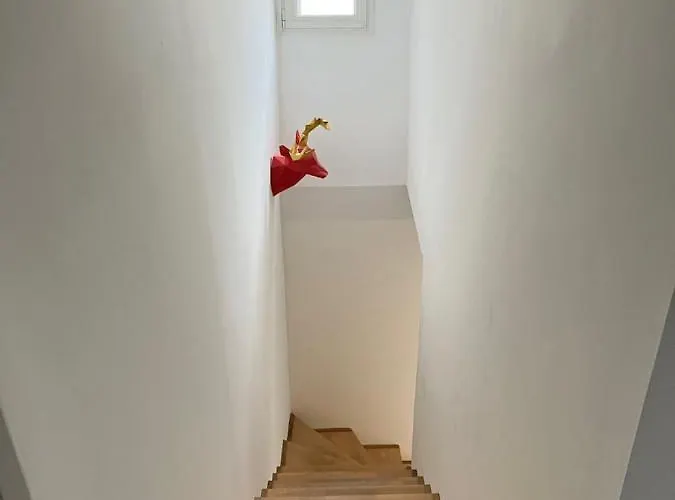 Apartment Ecu : Superbe Avec Exterieur